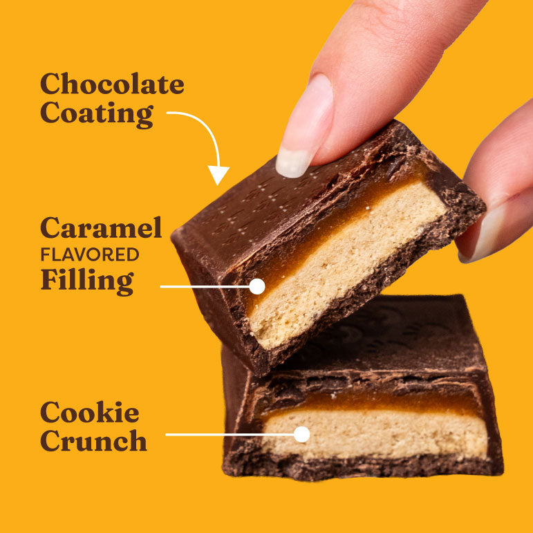 Sea Salt Caramel Chocolate Cookie Bars - Soft Pick